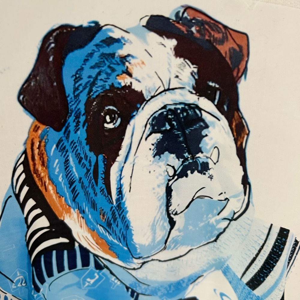 White Bulldog Graphic Sweatshirt - Picture 5 of 7